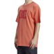 DC SHOES DC STAR PIGMENT TEES ADYZT05374 MKZW