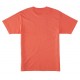 DC SHOES DC STAR PIGMENT TEES ADYZT05374 MKZW