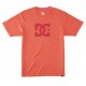 DC SHOES DC STAR PIGMENT TEES ADYZT05374 MKZW