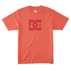 DC SHOES DC STAR PIGMENT TEES ADYZT05374 MKZW