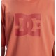 DC SHOES DC STAR PIGMENT TEES ADYZT05374 MKZW